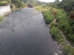 Wetbacks forging the river