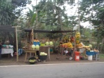 roadside fruit stand